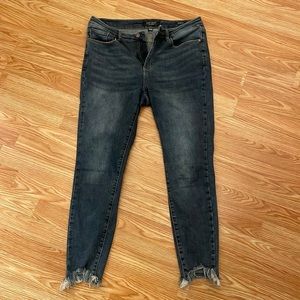 Judy Blue skinny fit, shark bite jeans. Like new.
